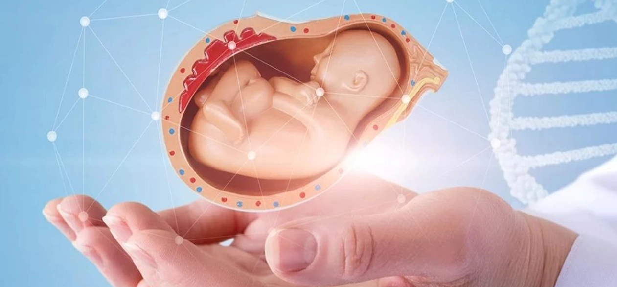Genetik Tüp Bebek Tedavisi Hakkında Doğru Bilinen Yanlışlar